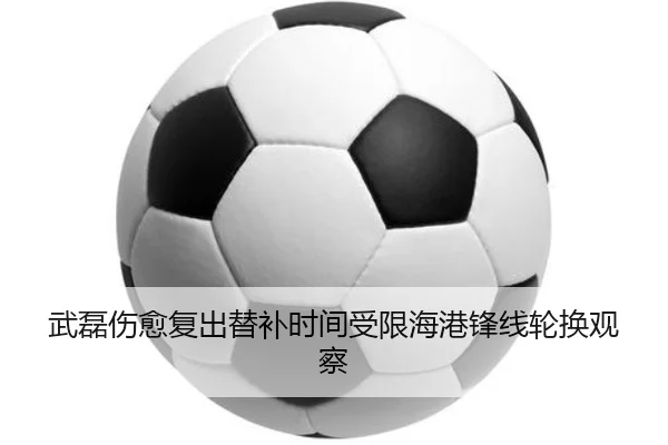 武磊伤愈复出替补时间受限海港锋线轮换观察 | MKSports